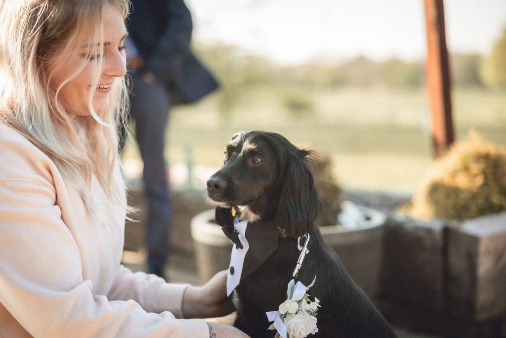 Bride and groom celebrating with their dog during a Waggy Wedding ceremony at Shenstone Golf Club, Aston Wood, UK, 2025.